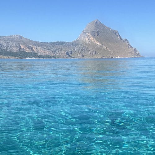 cofano 2