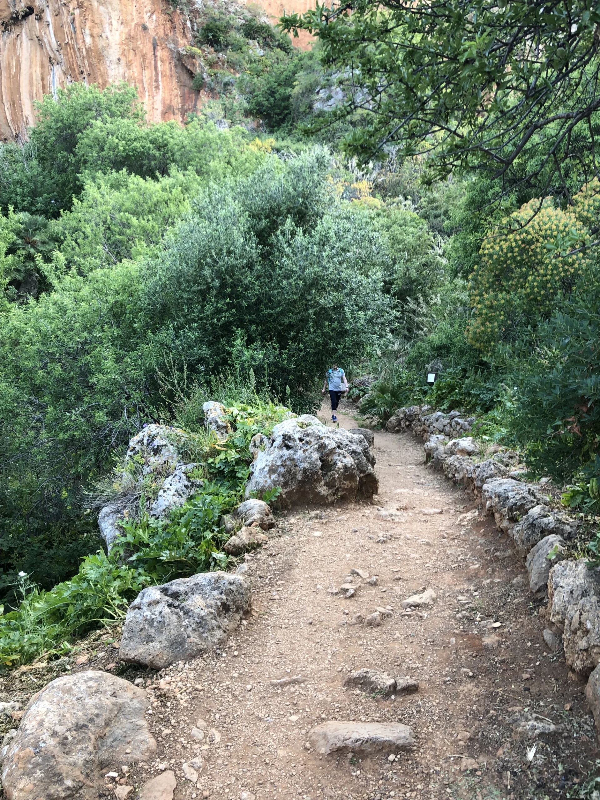 Foto dei sentieri della riserva dello Zingaro