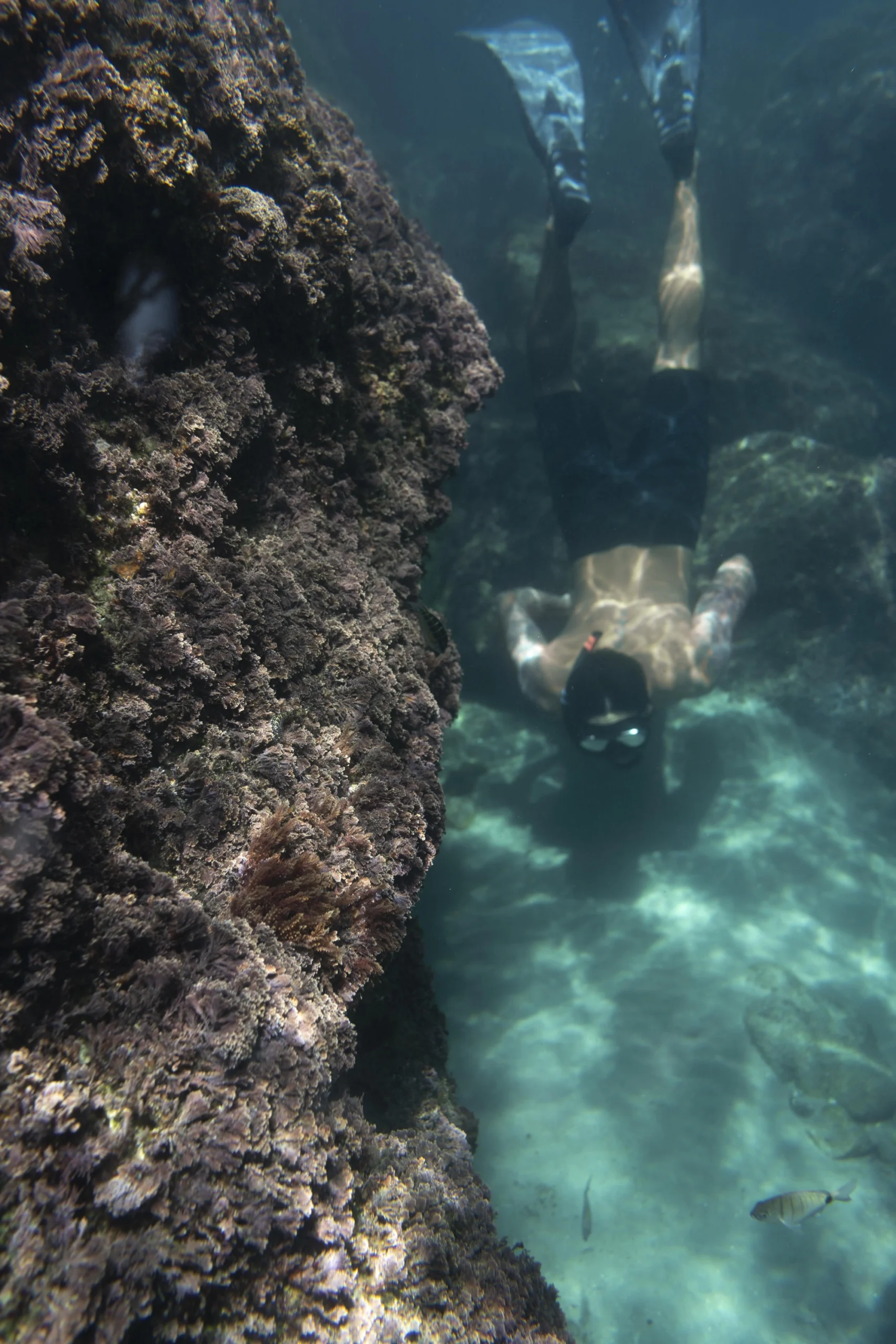 Foto di un ragazzo che effettua delle immersioni in acqua allo Zingaro